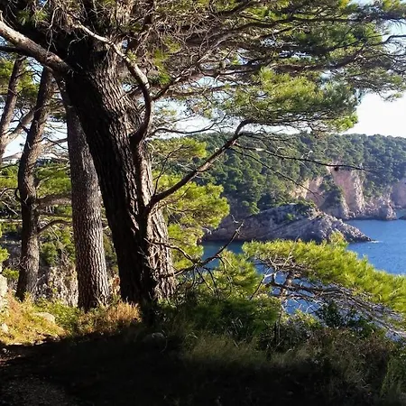 Iva&andro * Donje Čelo