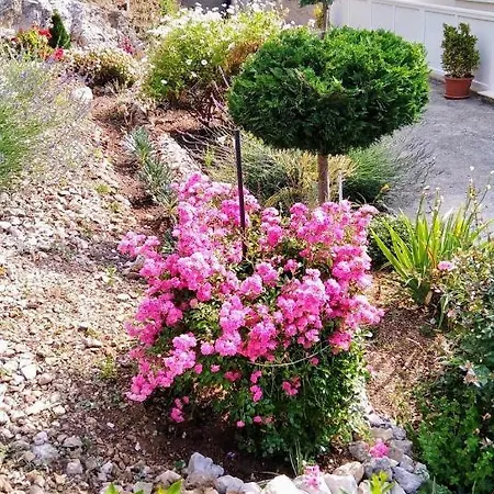 Iva&andro * Donje Čelo