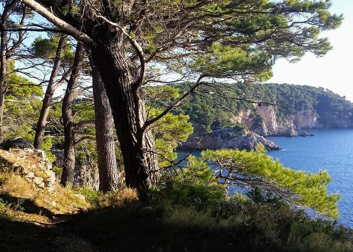 Iva&andro * Donje Celo