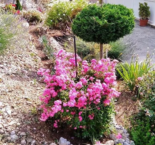 Iva&andro * Donje Celo